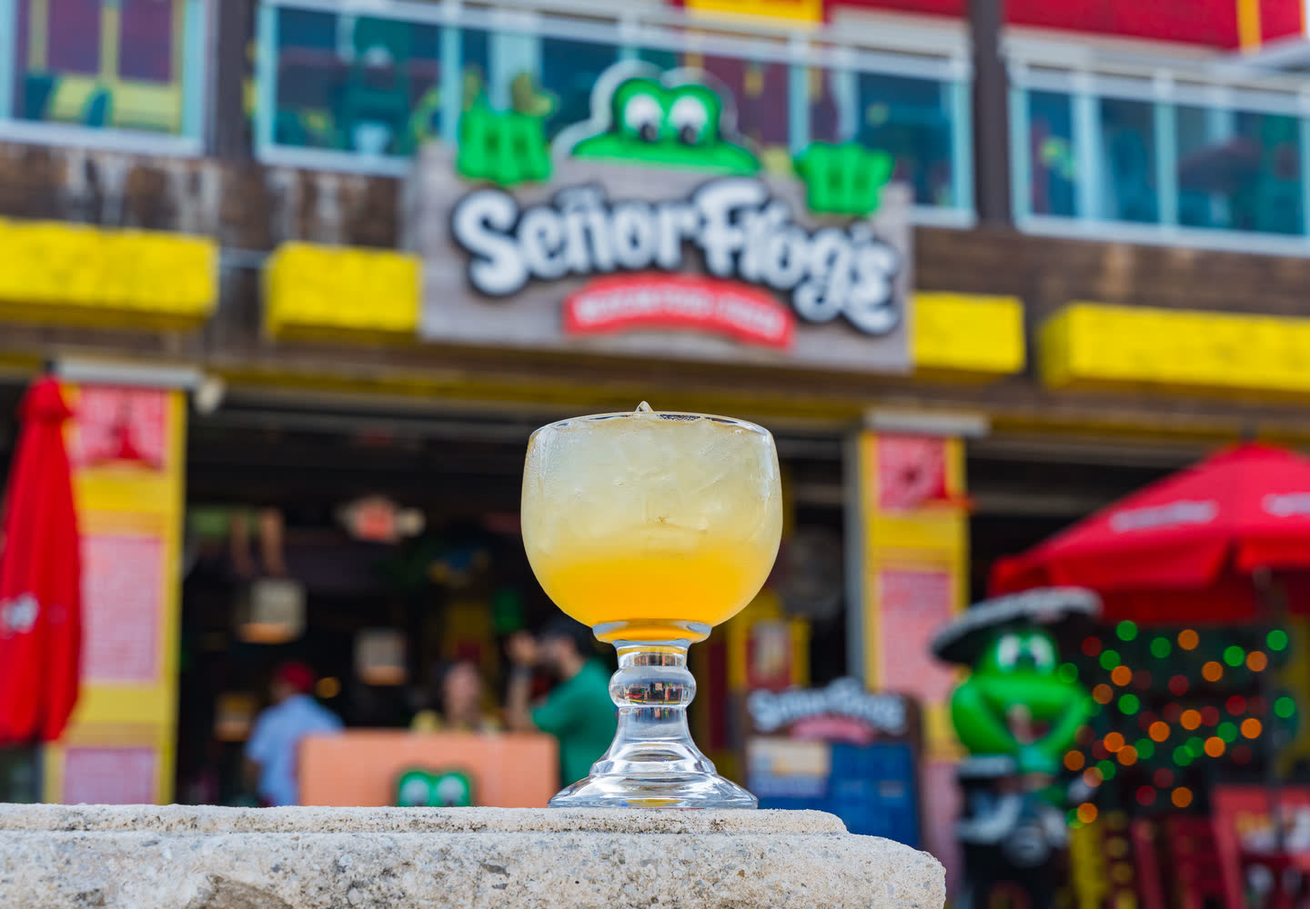 Una margarita frente a Señor Frog’s Fort Lauderdale