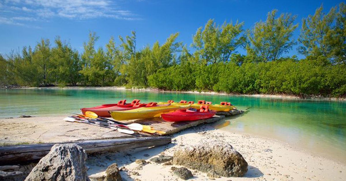 top 5 places freeport