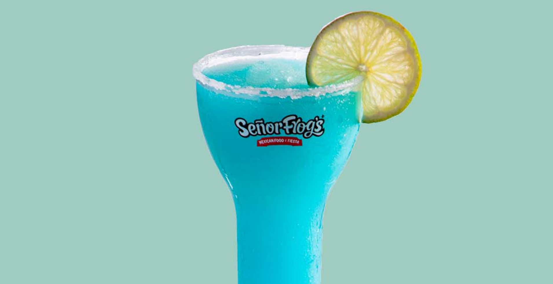 desktop banner blog (5)