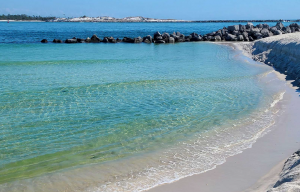 screen shot 2022 06 17 at 11 16 22 am