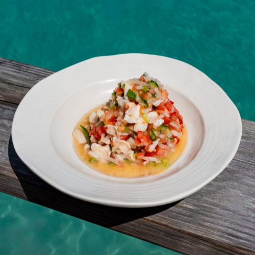 SEÑOR-FROG_S-BAHAMAS-500-x-500-px