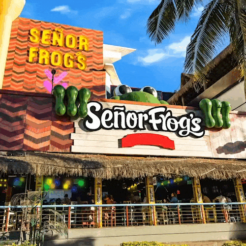 FACHADA SF add_2 (1)