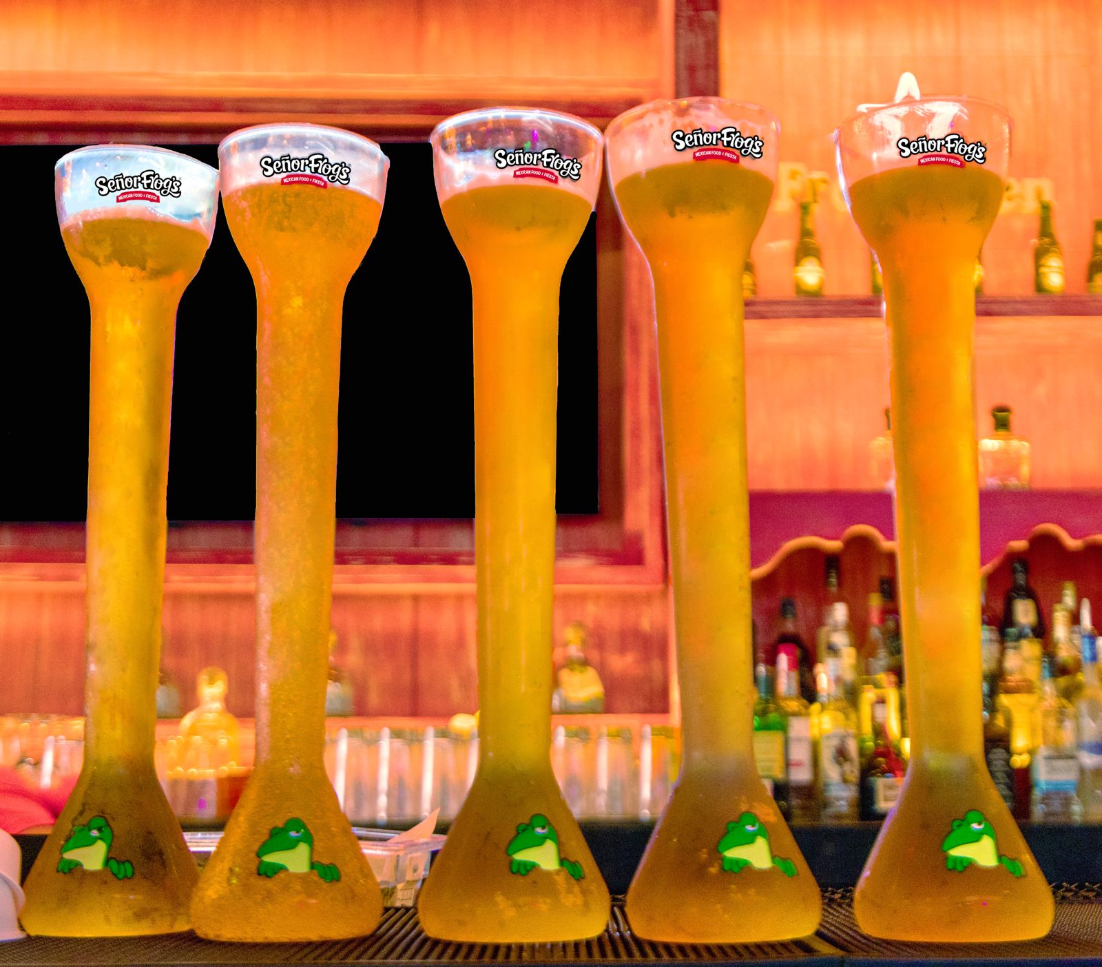 whatsapp image 2023 02 08 at 11 52 33 am