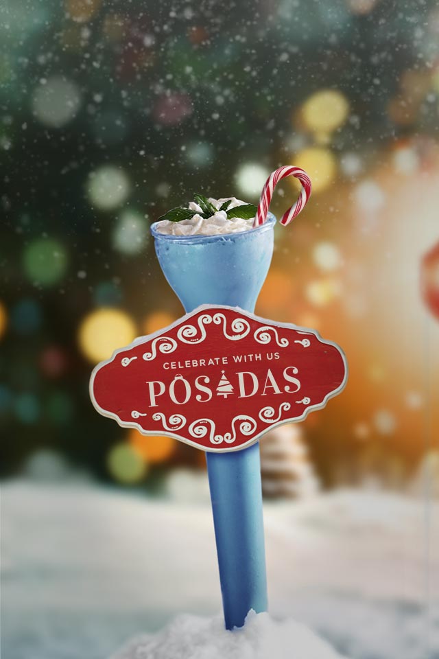 Come For The Food Stay For The Fun - Señor Frog's