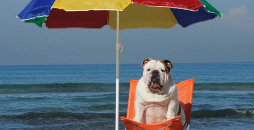 summer