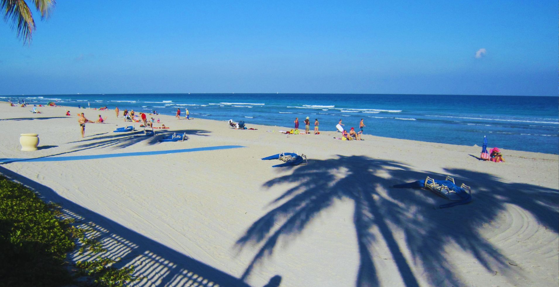 hollywood beach