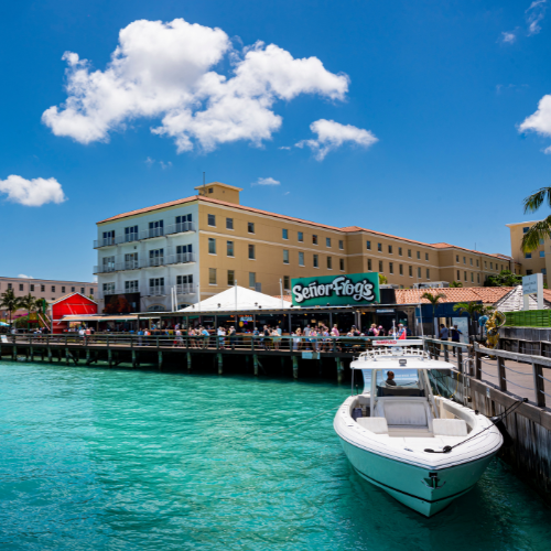 senor frogs nassau bahamas