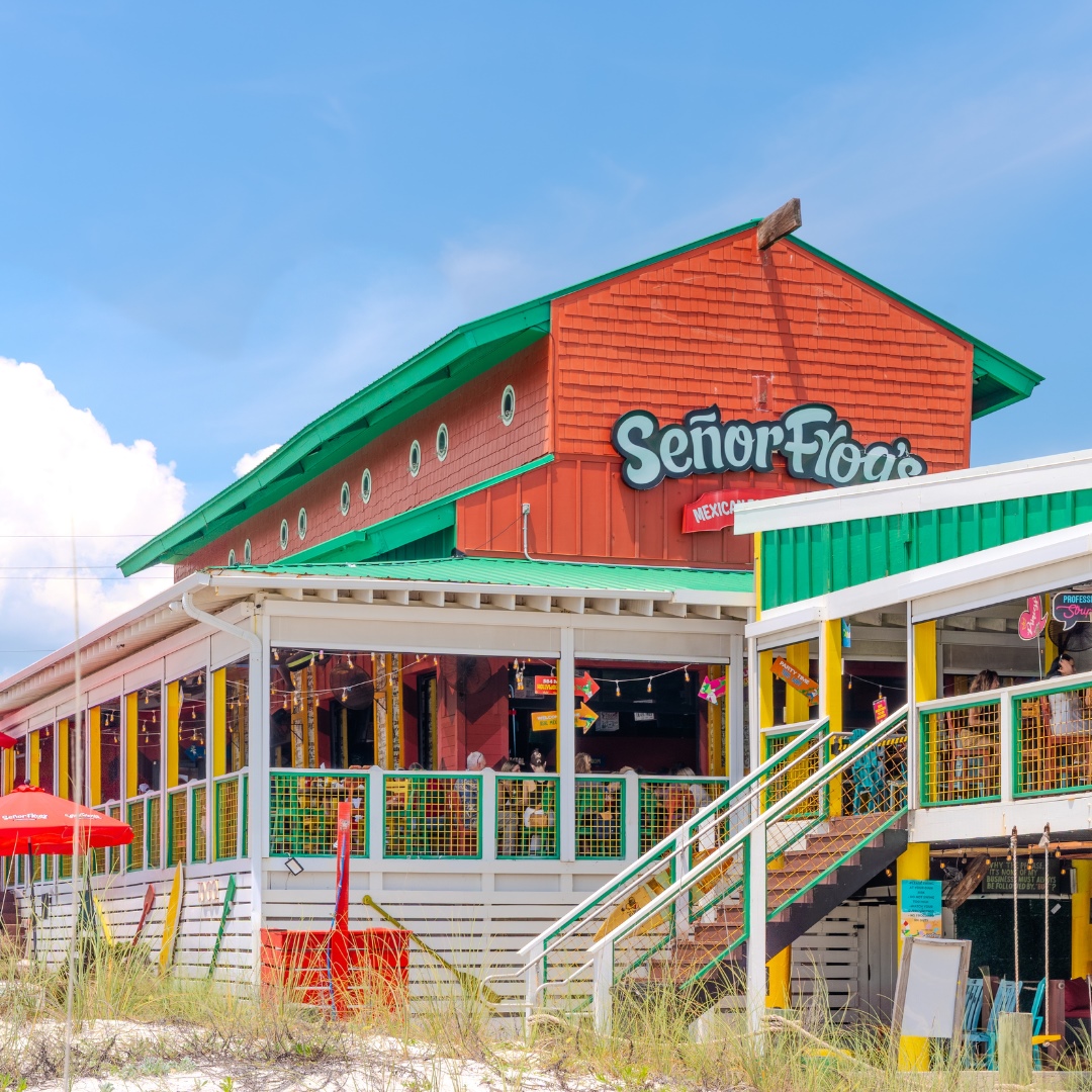 señor-frog's-panama-city-beach