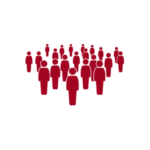 proyecto nuevo (14)